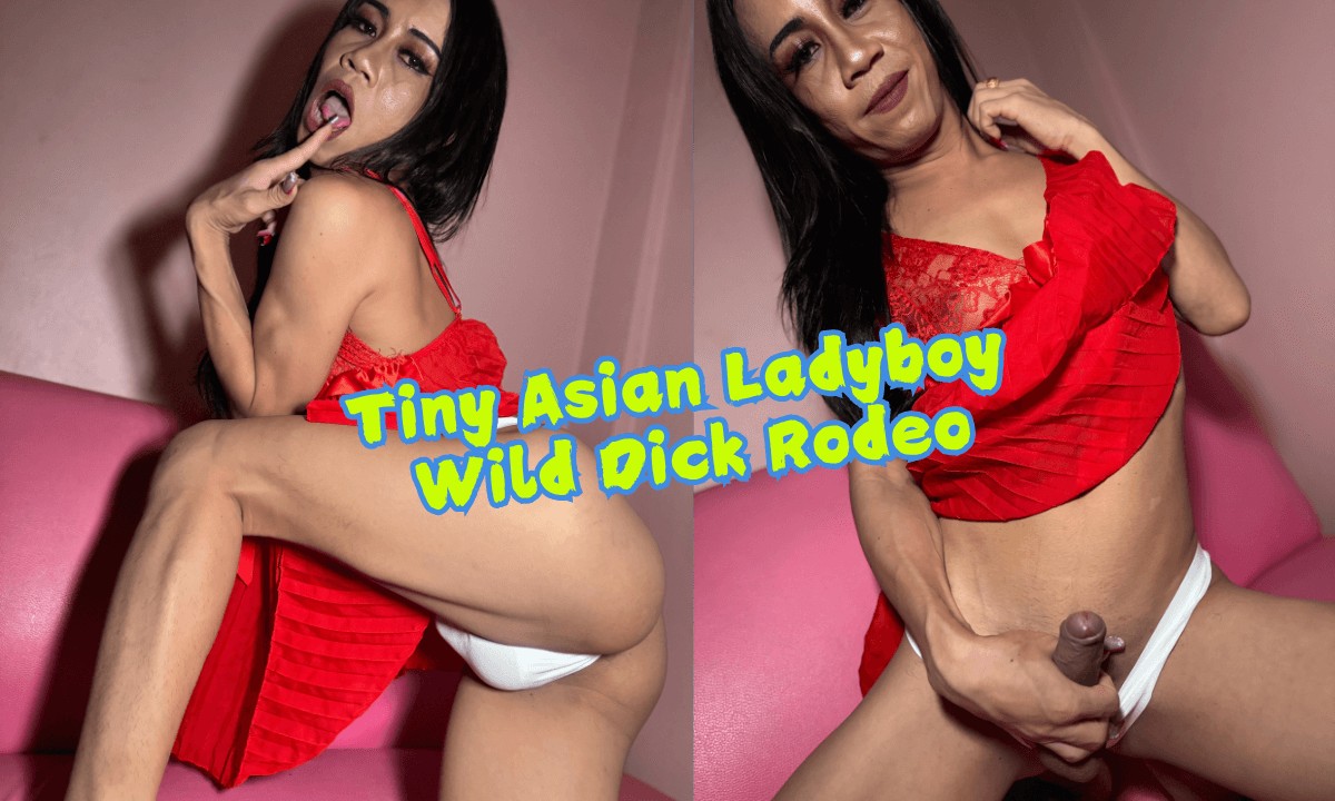 Tiny Asian Ladyboy Wild Dick Rodeo VR Porn Tiny Asian Ladyboy Wild Dick Rodeo