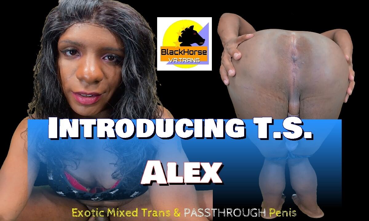 Introducing T.S. Alex - Exotic Mixed Trans & Passthrough Penis VR Porn Introducing T.S. Alex - Exotic Mixed Trans & Passthrough Penis