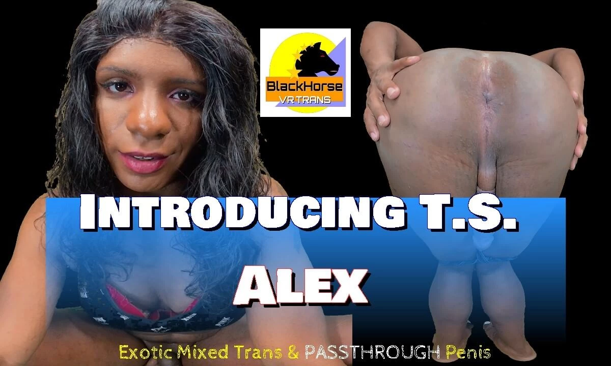 Introducing T.S.  Alex - Exotic Mixed Trans & Passthrough Penis